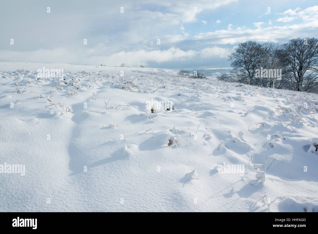 Schneebedeckte Danby Low Moor mit Blick auf Esk Dale in den North York Moors National Park Stockfoto