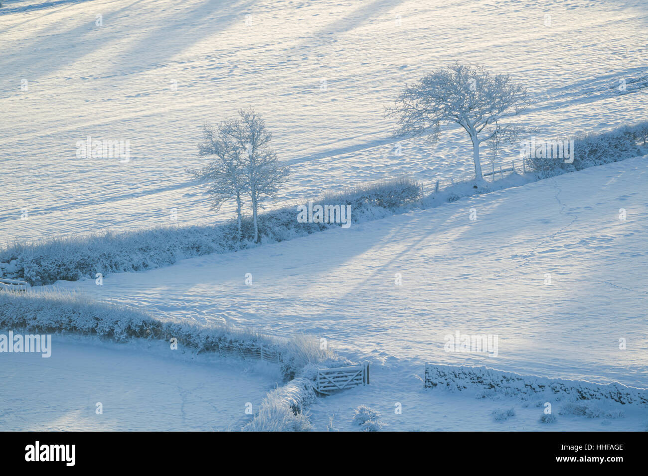 Schnee bedeckt Ackerland Felder, Hecken, Bäume und ein Tor in Danby Dale in North York Moors National Park anzeigen Stockfoto