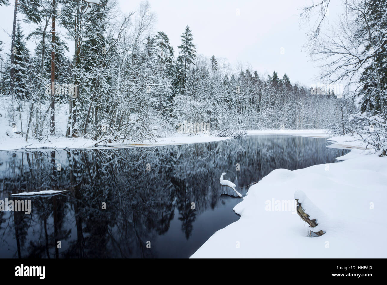 Lilla Kedjen See am Ekopark Farna (Farna Naturpark) in Mittelschweden im Winter mit Bäumen und Seeseite mit Schnee bedeckt Stockfoto