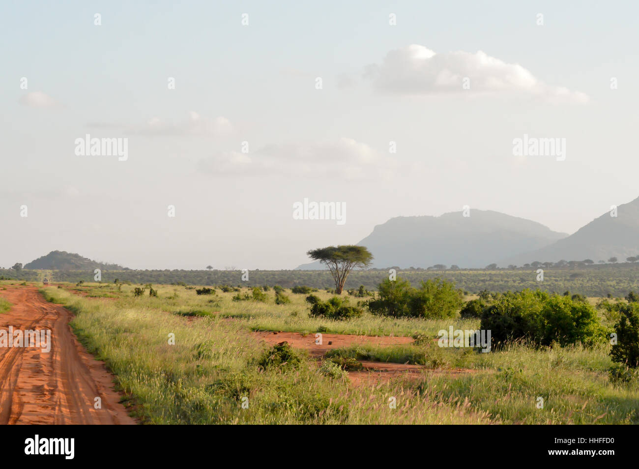 Savanne im Osten Tsavo Park in Kenia mit einem Colinne im Hintergrund Stockfoto