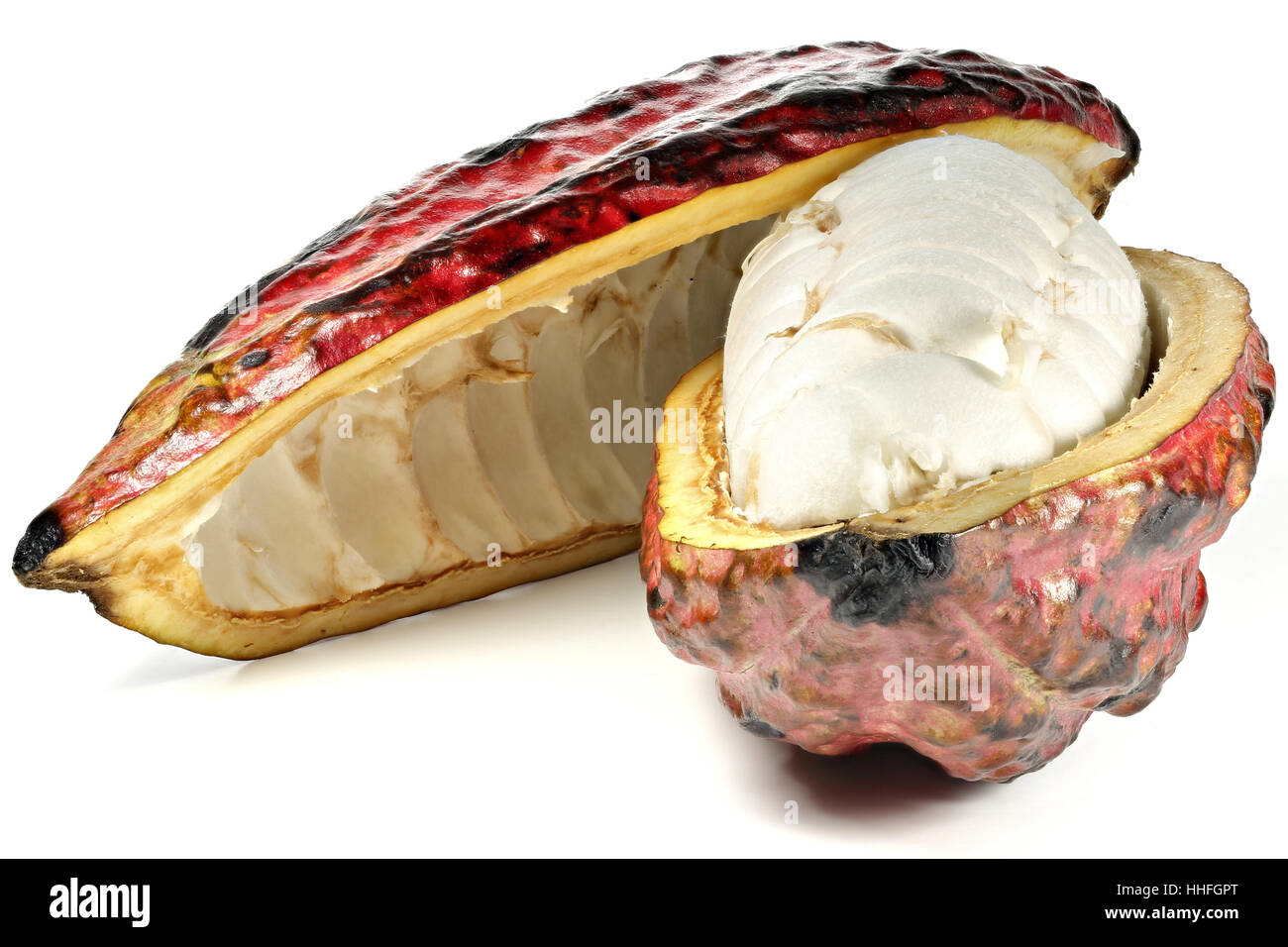 Kakao-Frucht isoliert auf weißem Hintergrund Stockfoto