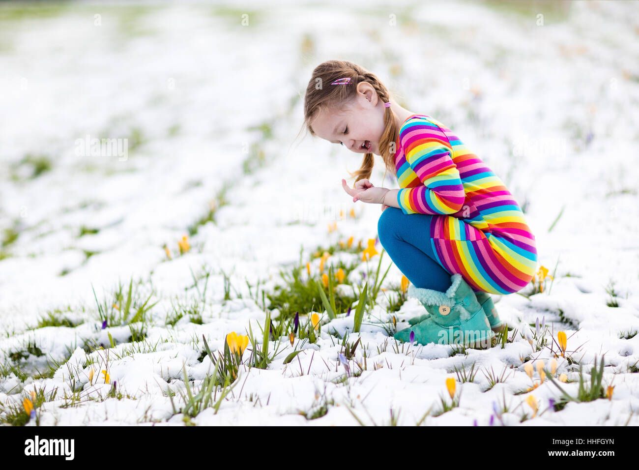 Niedliche kleine Mädchen in bunten Kleid gerade erste Krokus Frühlingsblumen unter Schnee auf sonnigen kalten Tag. Kind Kommissionierung Garten flowe Stockfoto