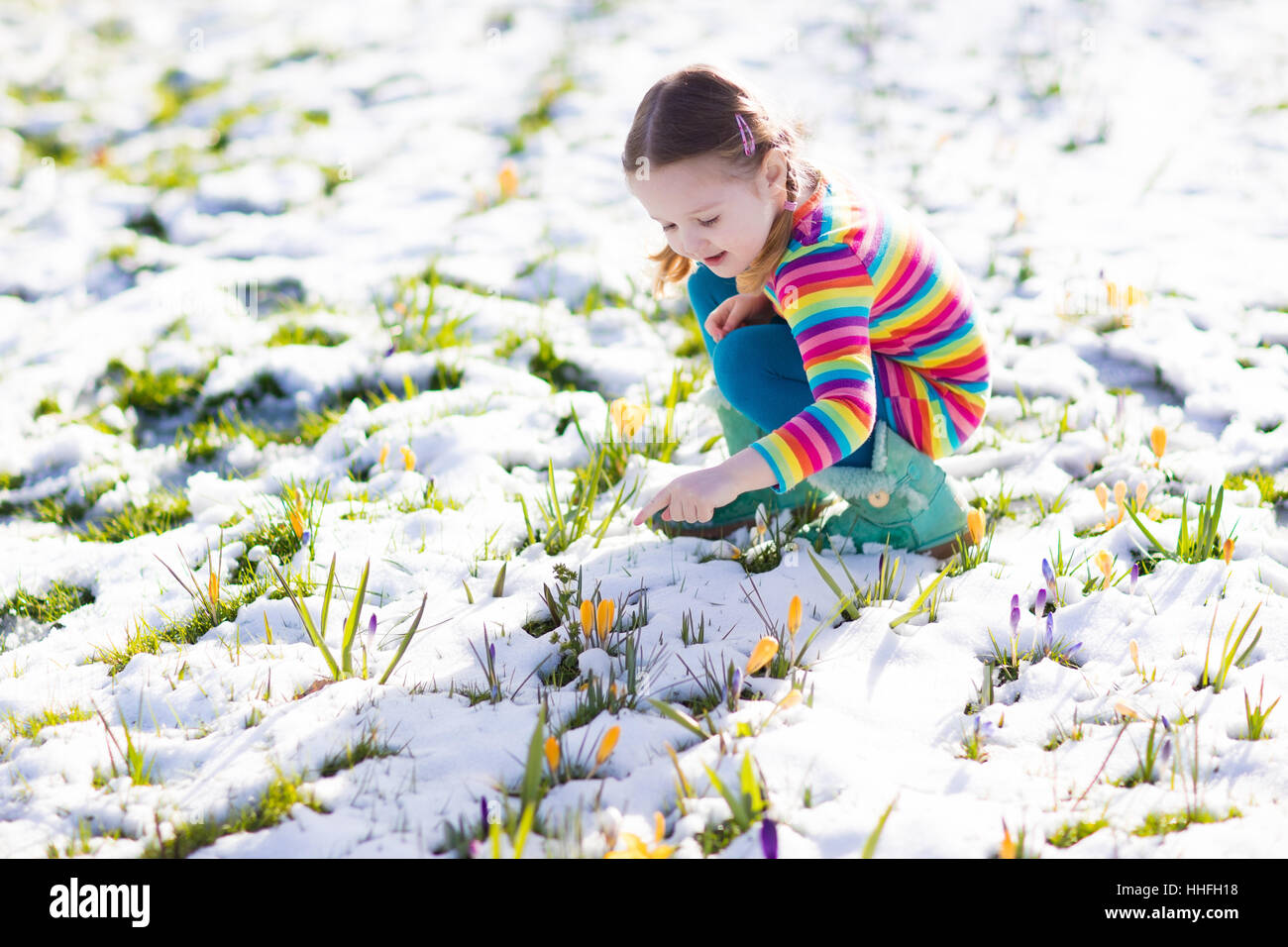 Niedliche kleine Mädchen in bunten Kleid gerade erste Krokus Frühlingsblumen unter Schnee auf sonnigen kalten Tag. Kind Kommissionierung Garten flowe Stockfoto