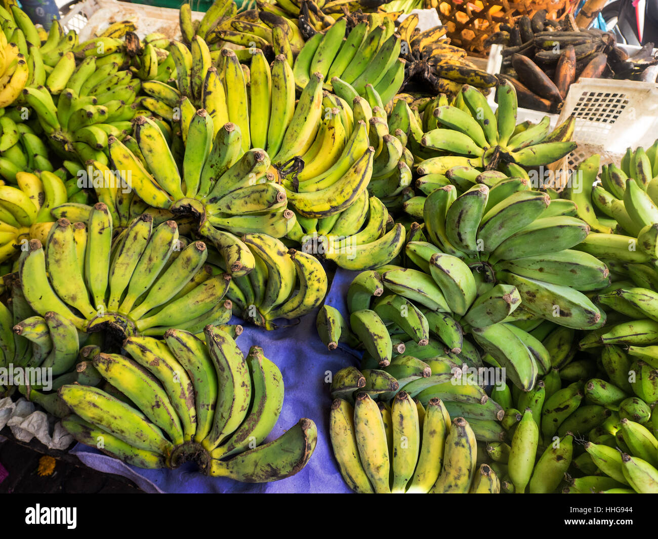 Kochbananen, die Lebensmittel Obst Kochen Braten Braten gelbe Yummi Stil stilvolle neue Banane-da-Terra Kochen Banane, Gemüse kochen Stockfoto