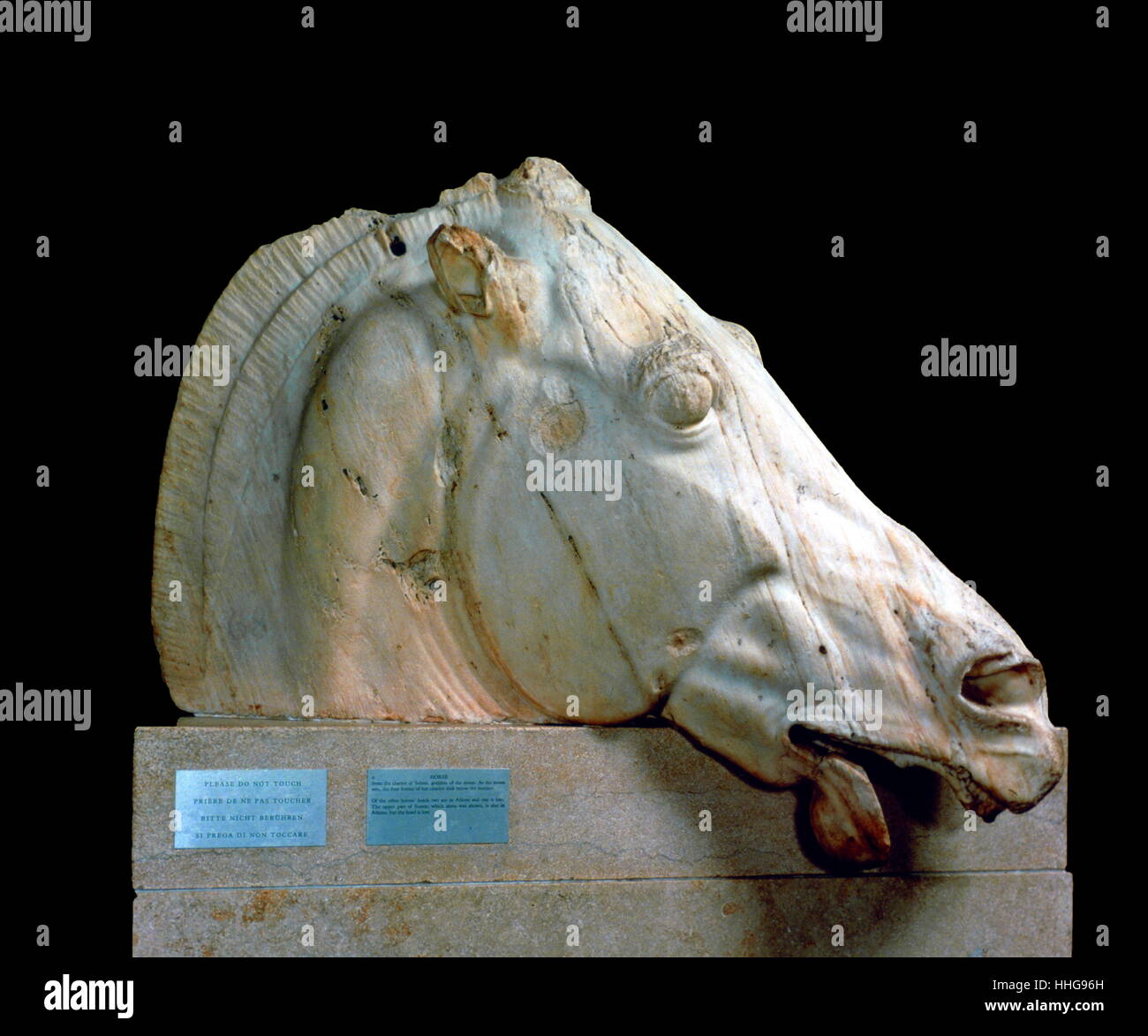 Aus der Ostgiebel des Parthenon Marmor, British Museum, London Pferd vom Wagen Selene(Moon) 438-432 v. Chr. Elgin Marbles Stockfoto