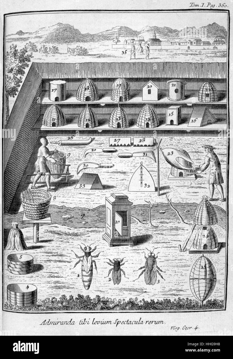 Bienenhaltung (imkerei) aus der Ausgabe 1775 von 'Oeconomie générale de la campagne ou Nouvelle maison rustique", Paris, 1700. Von Louis Liger (1658-1717), französische Agronom und Vielschreiber auf Flora und Fauna. Dies war ein Führer zu den Gartenbau für die Landbevölkerung Stockfoto