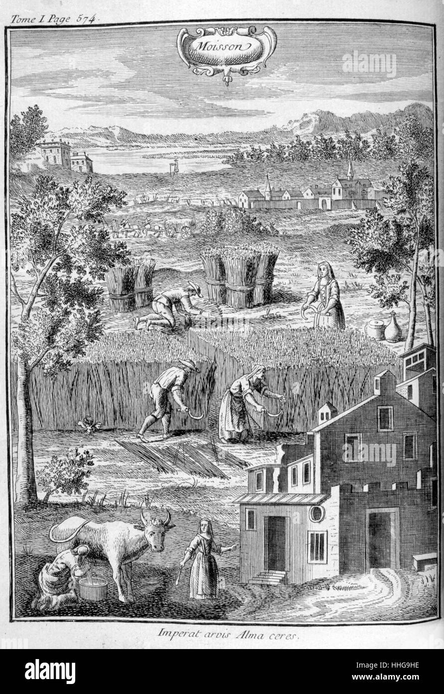 Ernte Szene, aus der Ausgabe 1775 von 'Oeconomie générale de la campagne ou Nouvelle maison rustique", Paris, 1700. Von Louis Liger (1658-1717), französische Agronom und Vielschreiber auf Flora und Fauna. Dies war ein Führer zu den Gartenbau für die Landbevölkerung Stockfoto