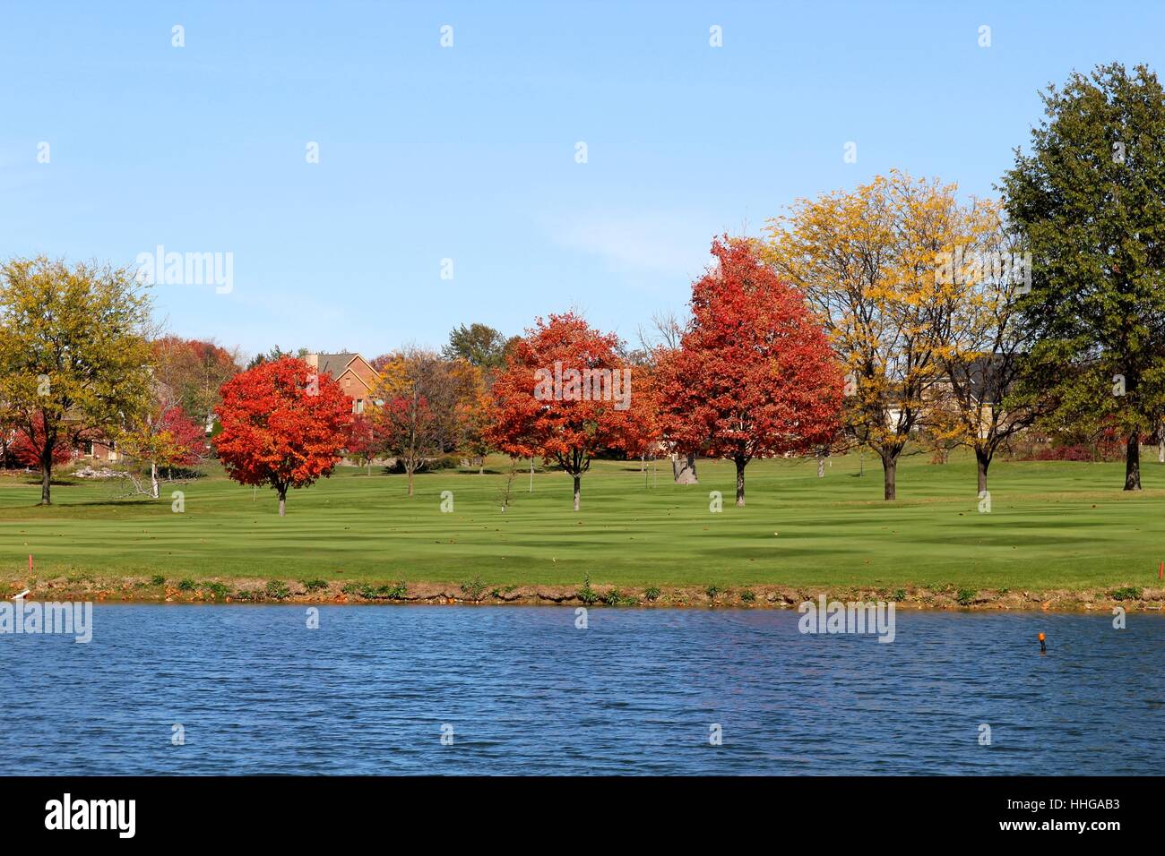 Die herbstlichen Bäume auf der anderen Seite des Sees. Stockfoto