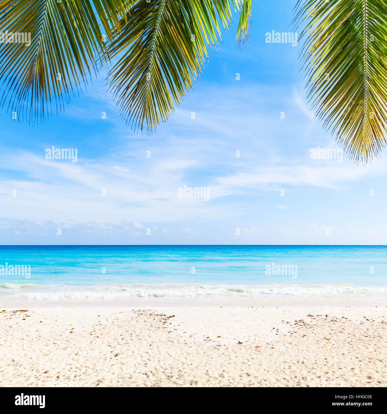 Tropischer Strand Hintergrund, weißer Sand, zweigt azurblauen Wasser und Palmen Baum über blauen Himmel. Küste des karibischen Meeres, Dominikanische Republik, Isla Saona Stockfoto