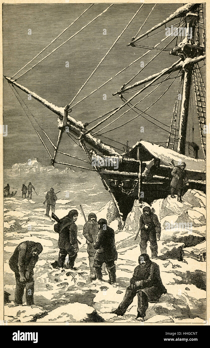 Antike c1890 Gravur, Arktis leben. QUELLE: ORIGINAL GRAVUR. Stockfoto