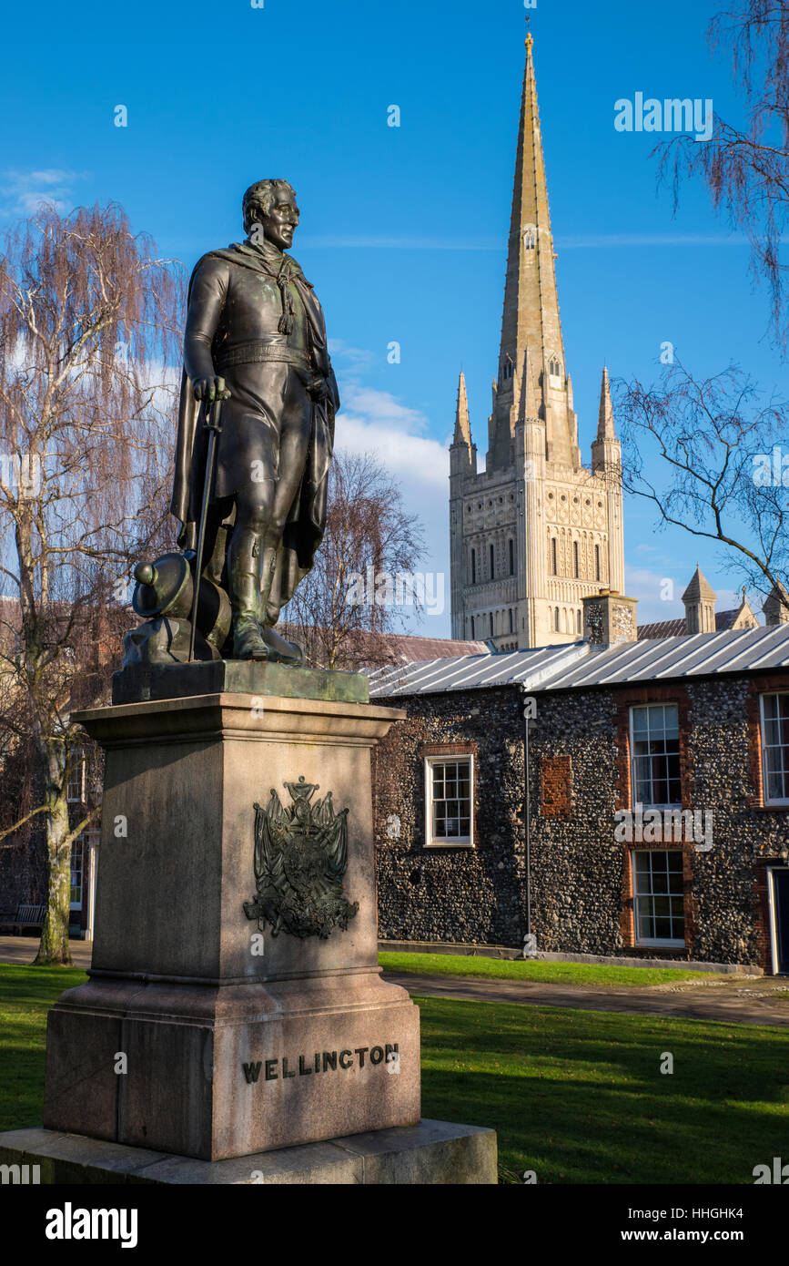 Eine Statue des Herzogs von Wellington mit der wunderschönen Norwich Kathedrale im Hintergrund, in der historischen Stadt Norwich, UK. Stockfoto