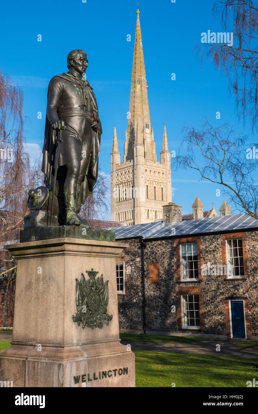 Eine Statue des Herzogs von Wellington mit der wunderschönen Norwich Kathedrale im Hintergrund, in der historischen Stadt Norwich, UK. Stockfoto