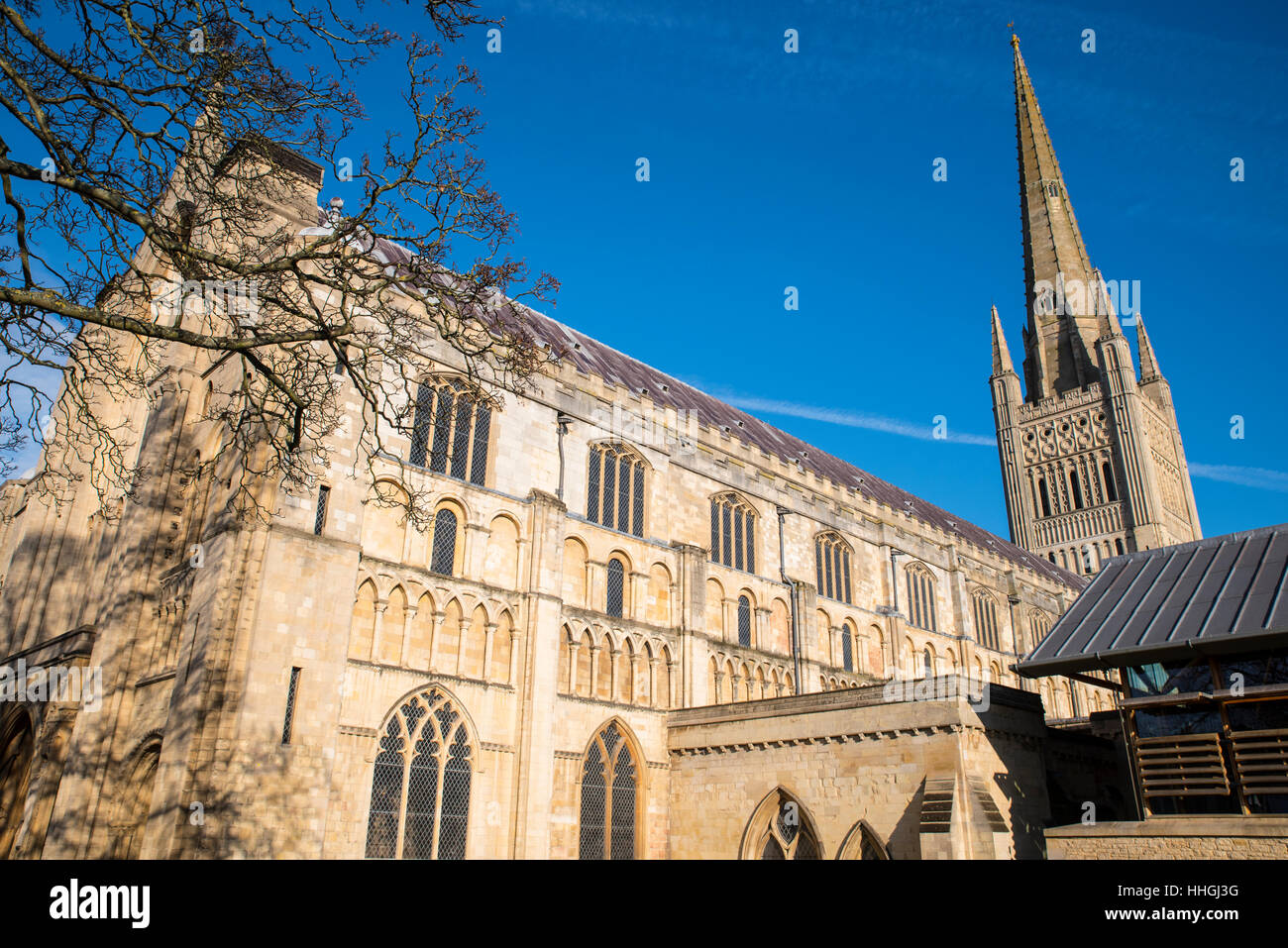 Ein Blick auf die prächtige Kathedrale von Norwich in der historischen Stadt Norwich, UK. Stockfoto