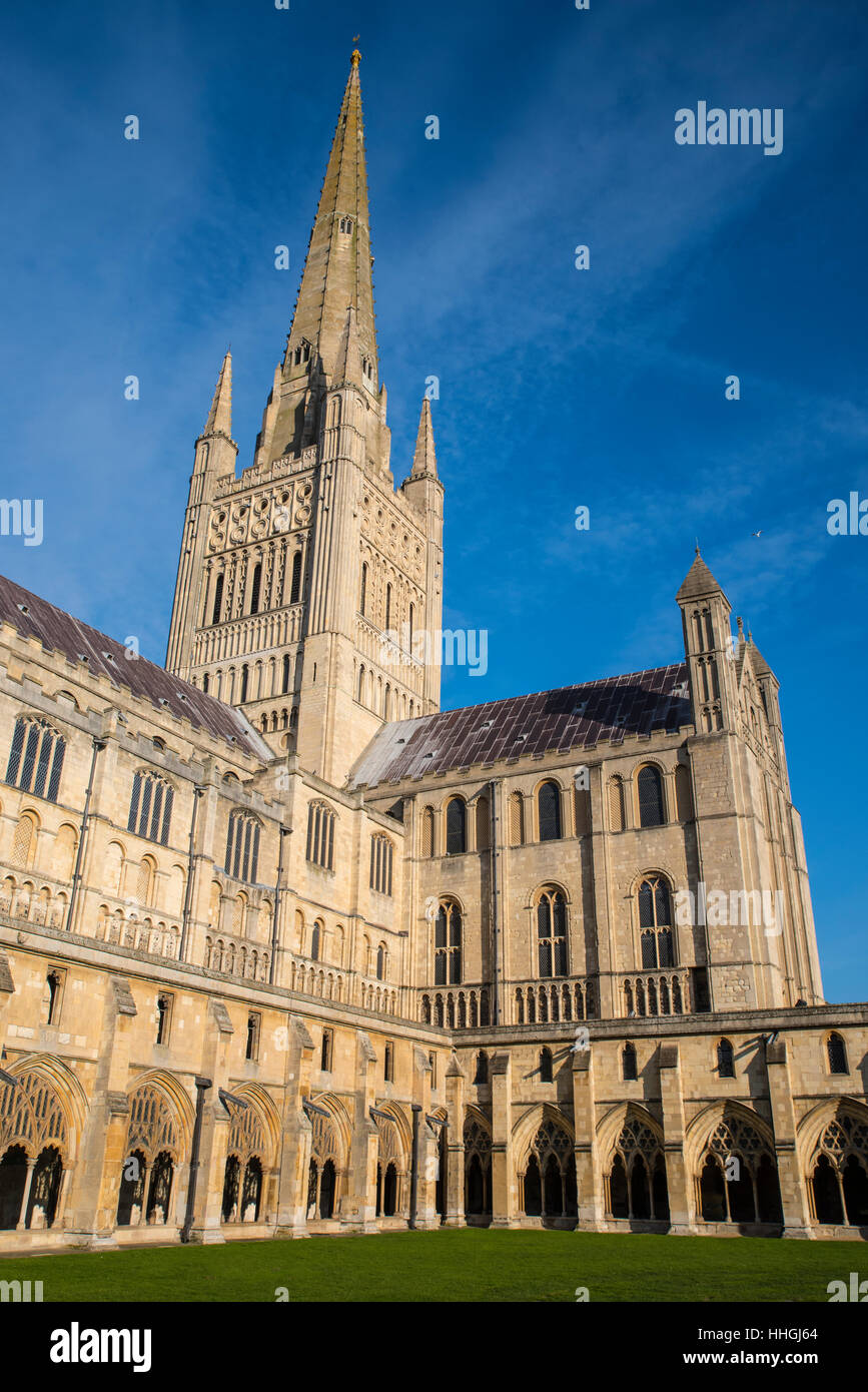 Ein Blick auf die prächtige Kathedrale von Norwich in der historischen Stadt Norwich, UK. Stockfoto
