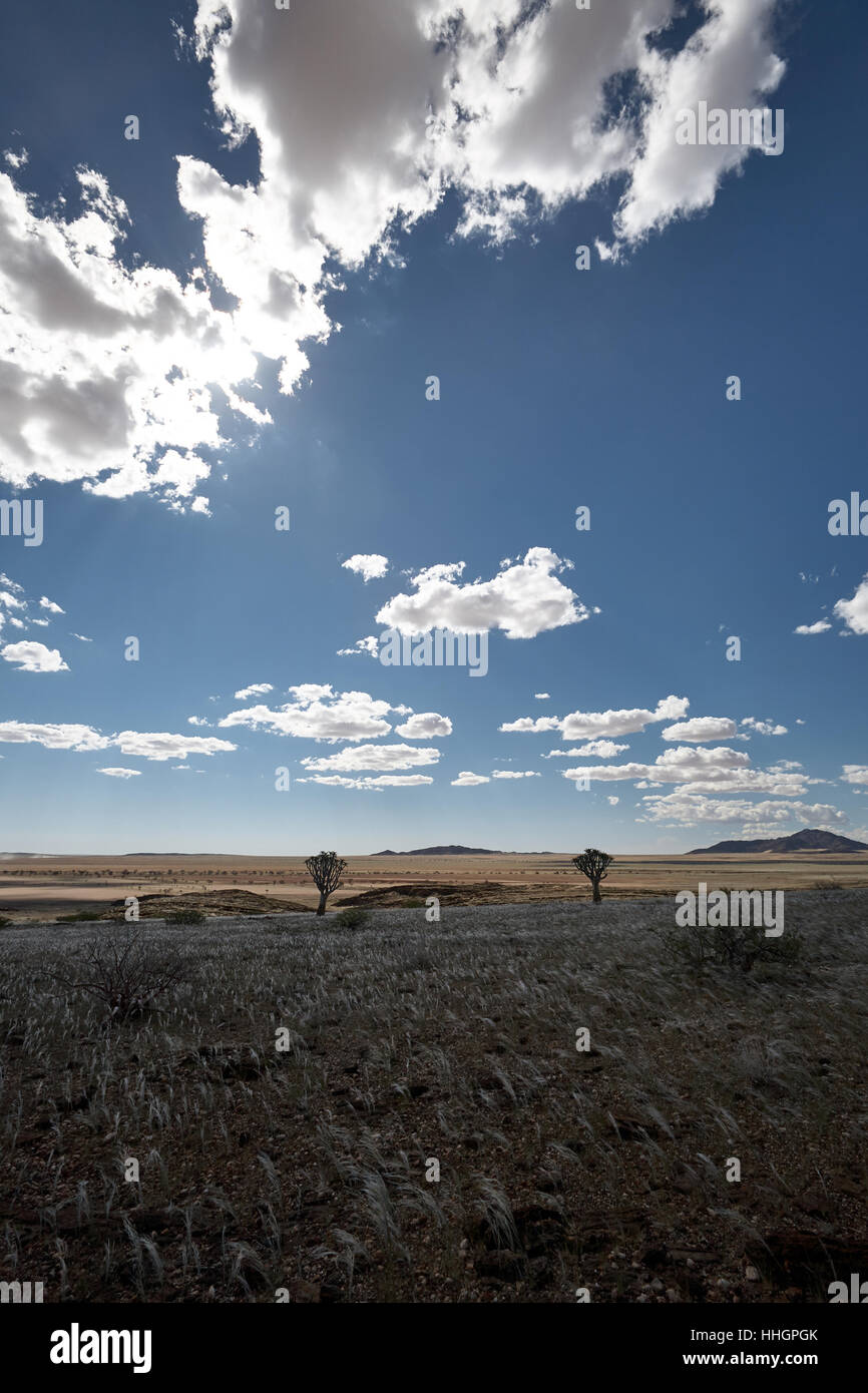 Namibia-Landschaften Stockfoto