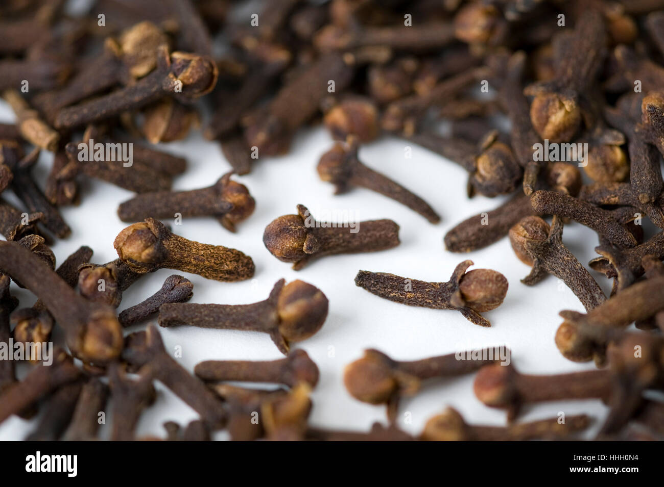 Gewürz, Nelken, Lebensmittel, Nahrungsmittel, Makro, Nahaufnahme, Makro-Aufnahme, Ansicht, Nahaufnahme Stockfoto