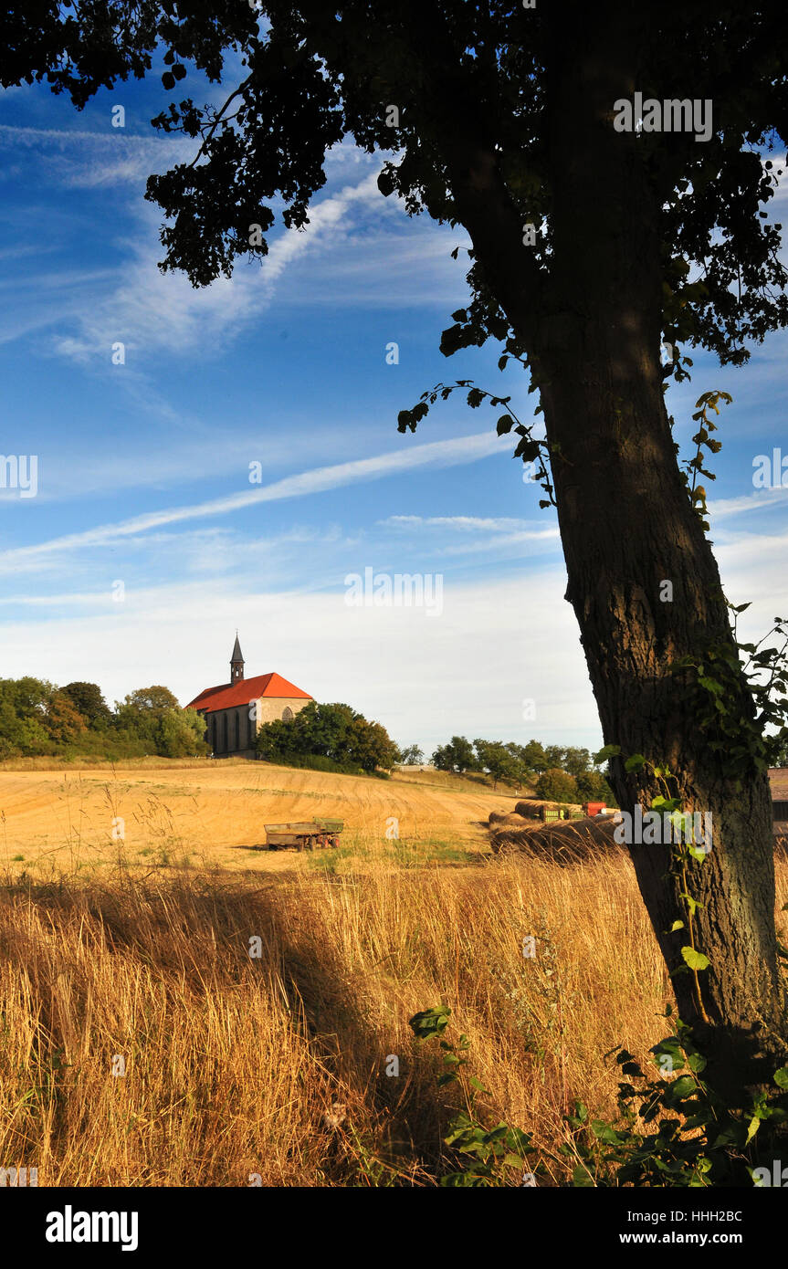 Kirche, Niedersachsen, Landschaft, Landschaft, Natur, Religion, Kirche, Baum, Stockfoto