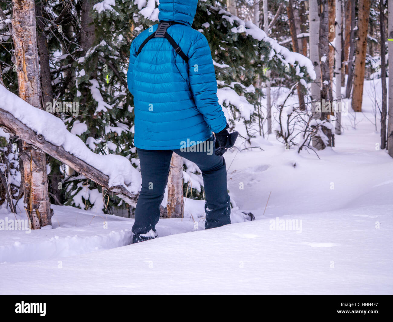 Weiblich, Schneeschuhwandern im Winter-Wunderland Stockfoto