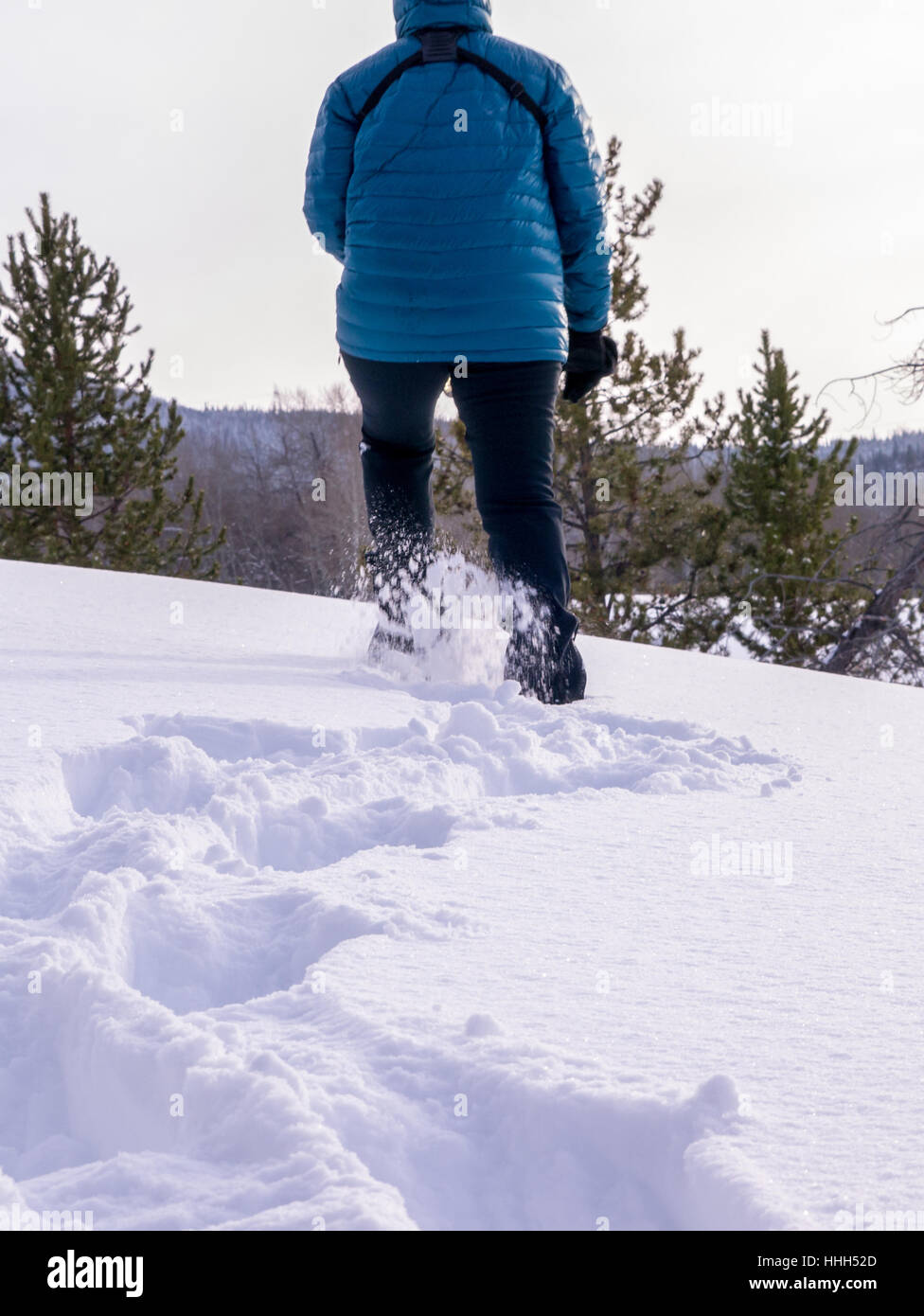 Weiblich, Schneeschuhwandern im Winter, Hochformat Stockfoto