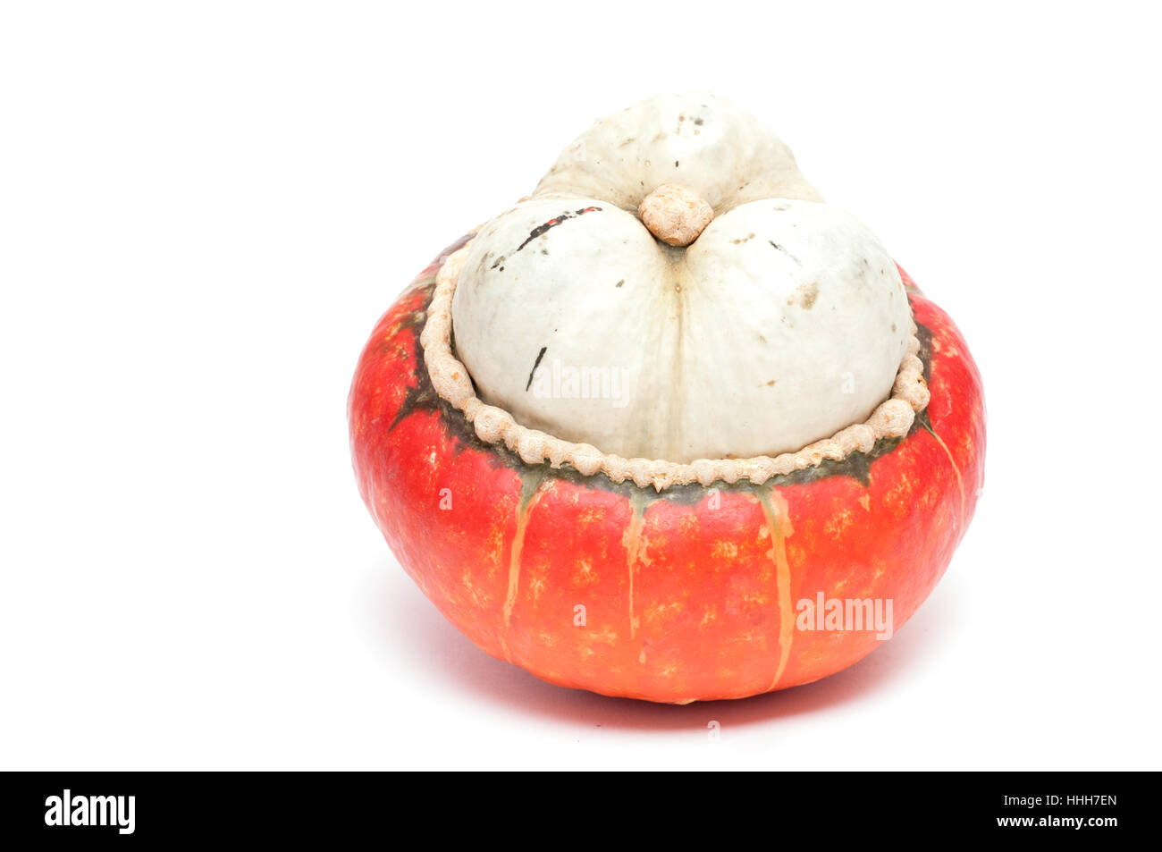 Kürbis, Art, Orange, Cucurbit, Ernte, kleine, winzige, kleine, kurze, Stockfoto