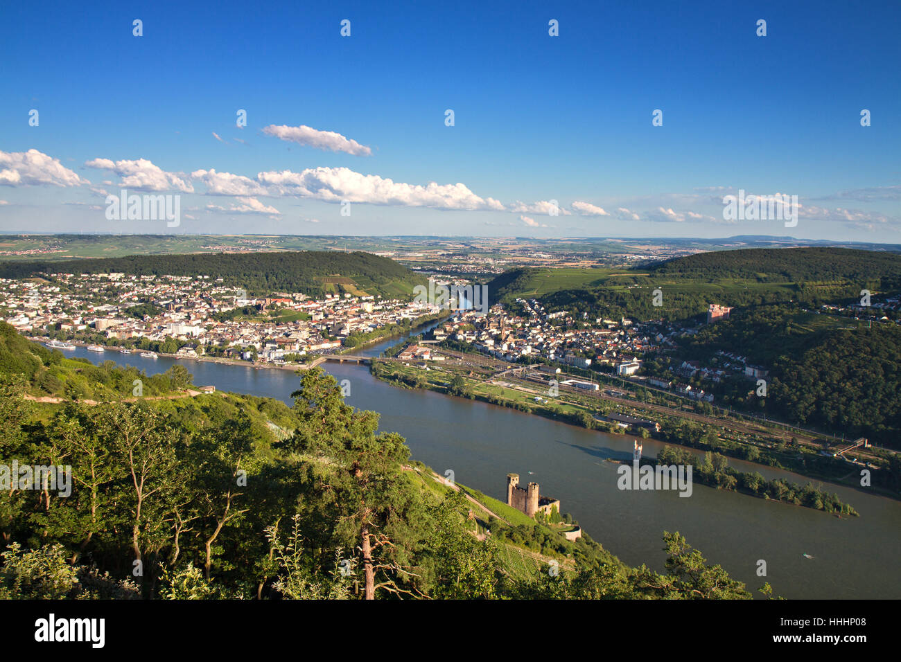 Rhein, Deutschland, Bundesrepublik Deutschland, Burg, Rheingau, Wald, Schloss, Stockfoto