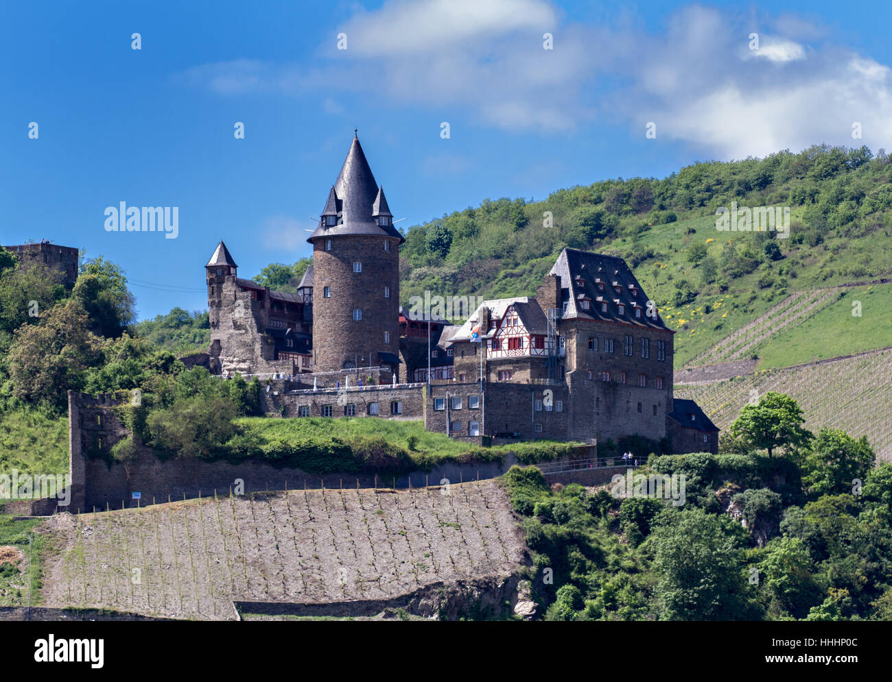 Rhein, Germany, Bundesrepublik Deutschland, Mittelalter, Burg, Wald, Schloss, Stockfoto