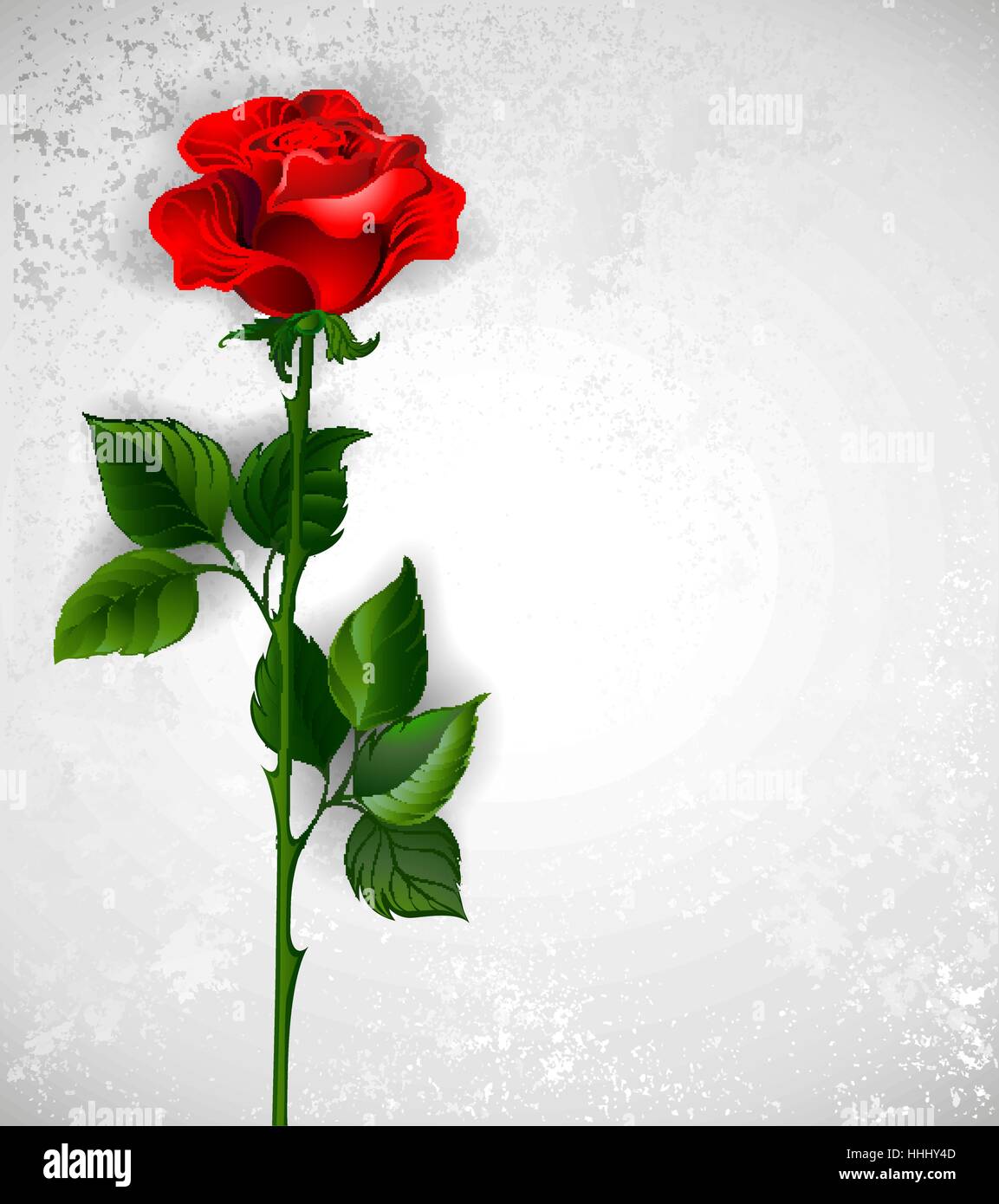 rote rose mit einem geraden Stamm und grüne Blätter auf einem hellen Hintergrund. Stock Vektor
