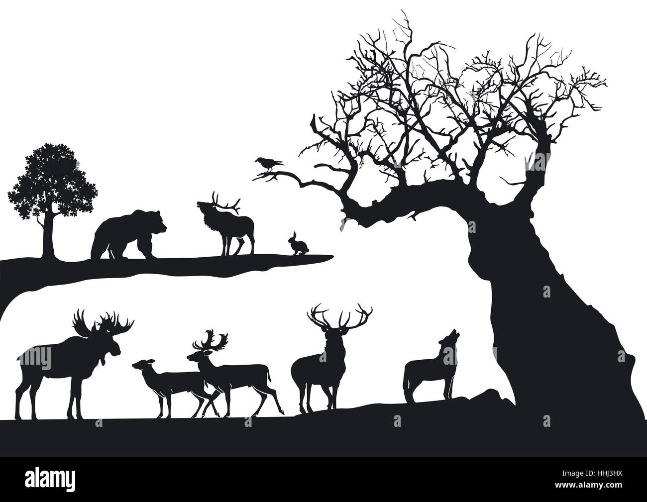 knorrigen Baum mit Wildtieren Stockfoto