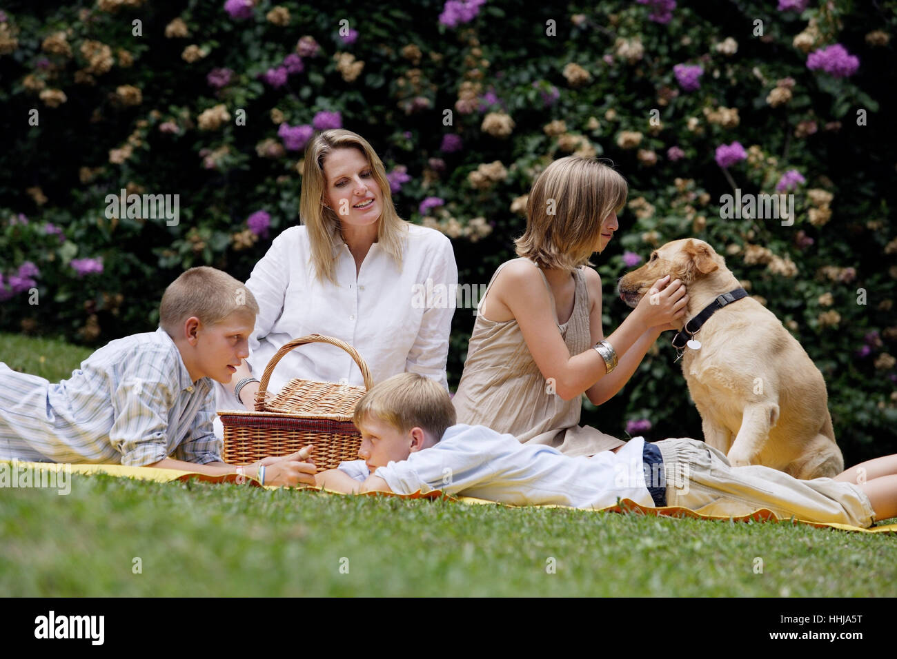 Mutter mit Kindern und Hund mit Picknick Stockfoto
