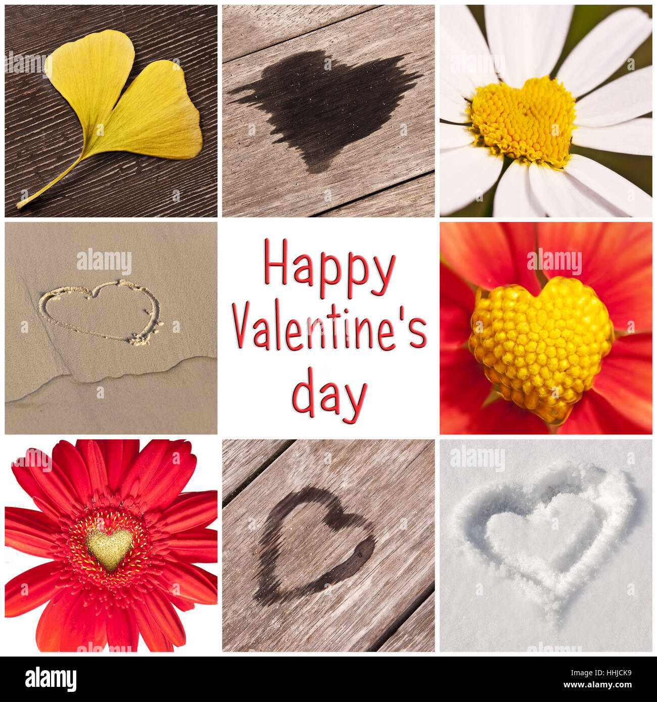 Sammlung von Herzen in der Natur, Valentinstag-Grußkarte Stockfoto
