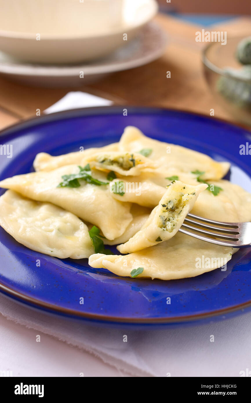 Pierogi, Polnisch gekochte Knödel Stockfoto