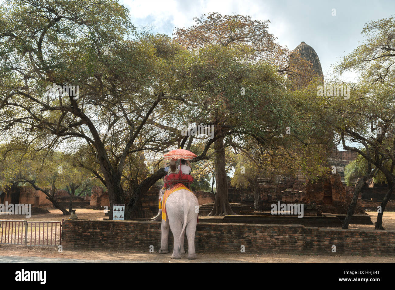 Touristen auf Elefanten Sightseeing in Ayutthaya Historical Park, Ayutthaya, Thailand Stockfoto