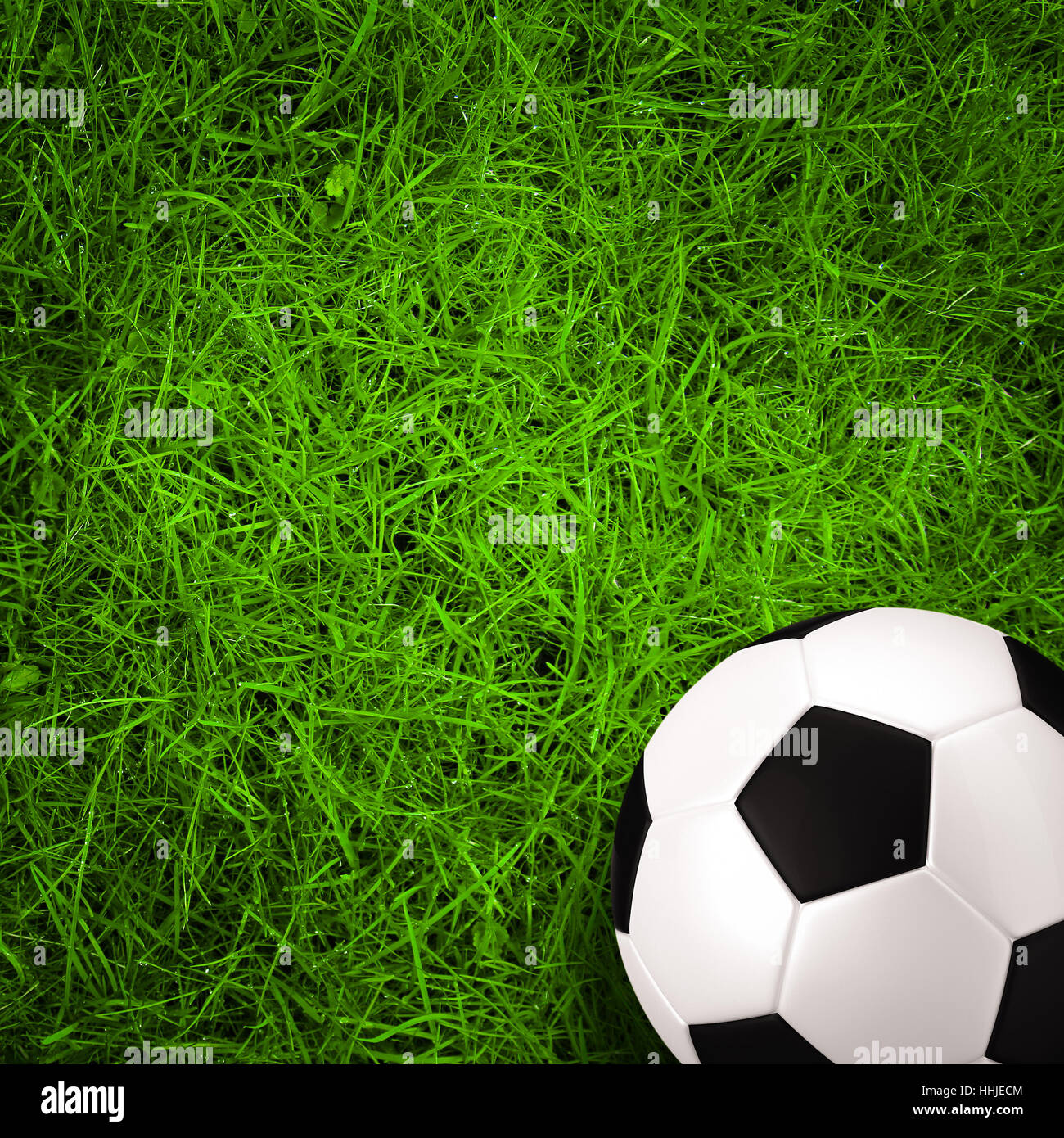 Fußball, Fußball auf grüner Wiese Stockfoto