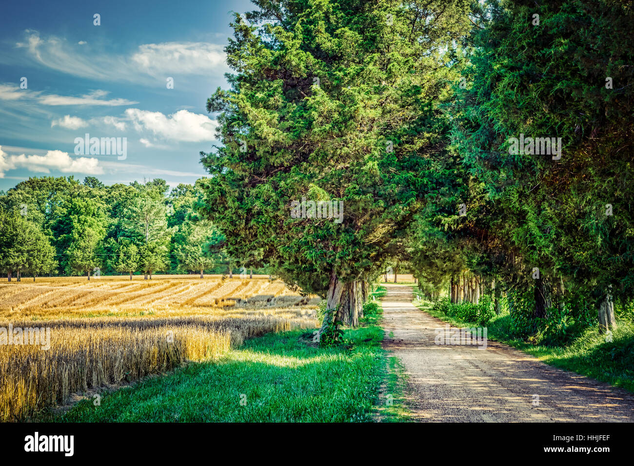 Einem kleinen Feldweg in Surry County, Virginia. Stockfoto