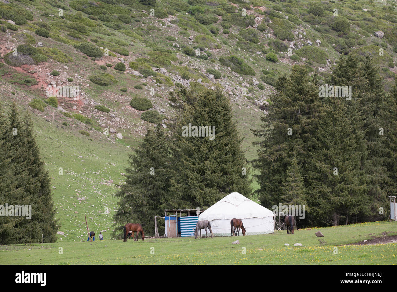 Aufbau der Jurte für den Sommer am Rande des Tien Shan Gebirges, parkte ein Lada Riva schließen, Karakol in Kirgisistan Stockfoto