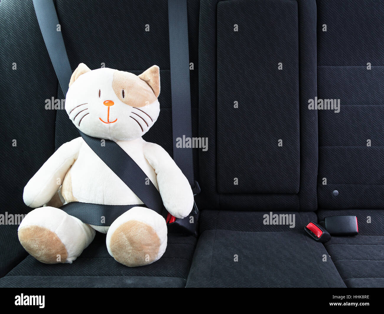 Plüschtier Katze befestigt mit Sicherheitsgurt auf dem Rücksitz eines  Autos, Sicherheit im Straßenverkehr. Schutzkonzept Stockfotografie - Alamy