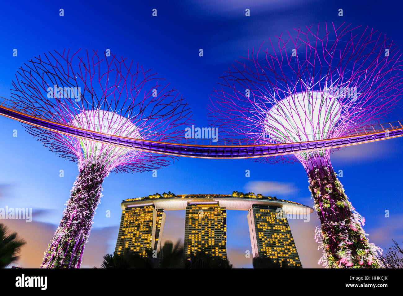 Singapur, Singapur - 8. Januar 2016 Supertree Grove in der Gradens an der Bucht Stockfoto