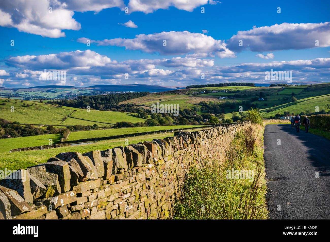 Englische Landschaft unterwegs Sommer, Lancashire, Wald von Bowland, England UK Stockfoto