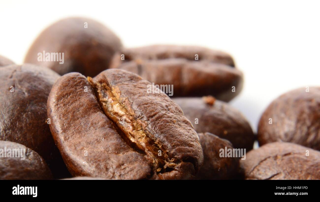 Bean auf die Bohne Stockfoto