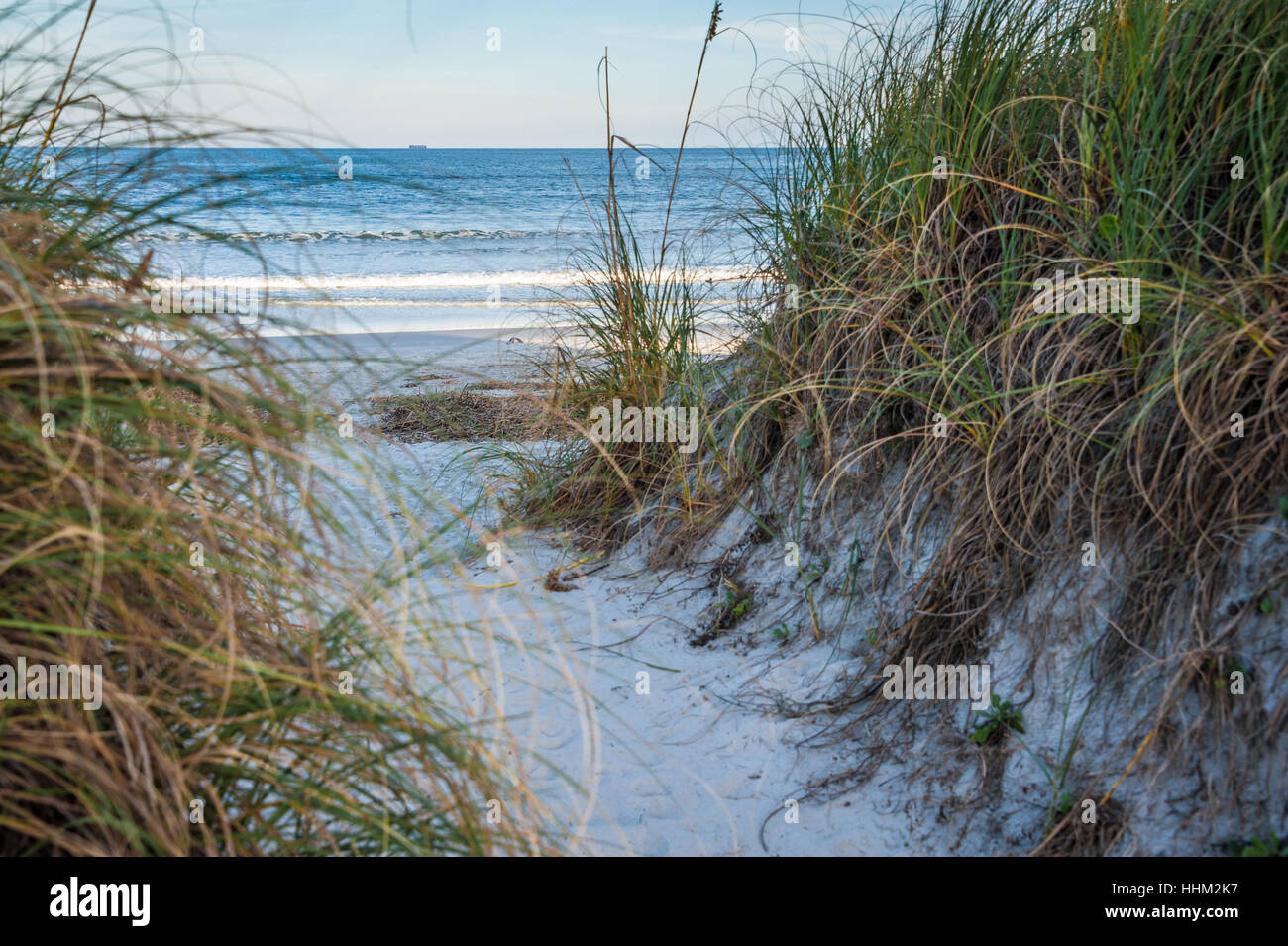 Zugang zum Strand durch die grasbewachsenen Sanddünen zu Neptun Strand im Nordosten Floridas in der Nähe von Jacksonville. (USA) Stockfoto