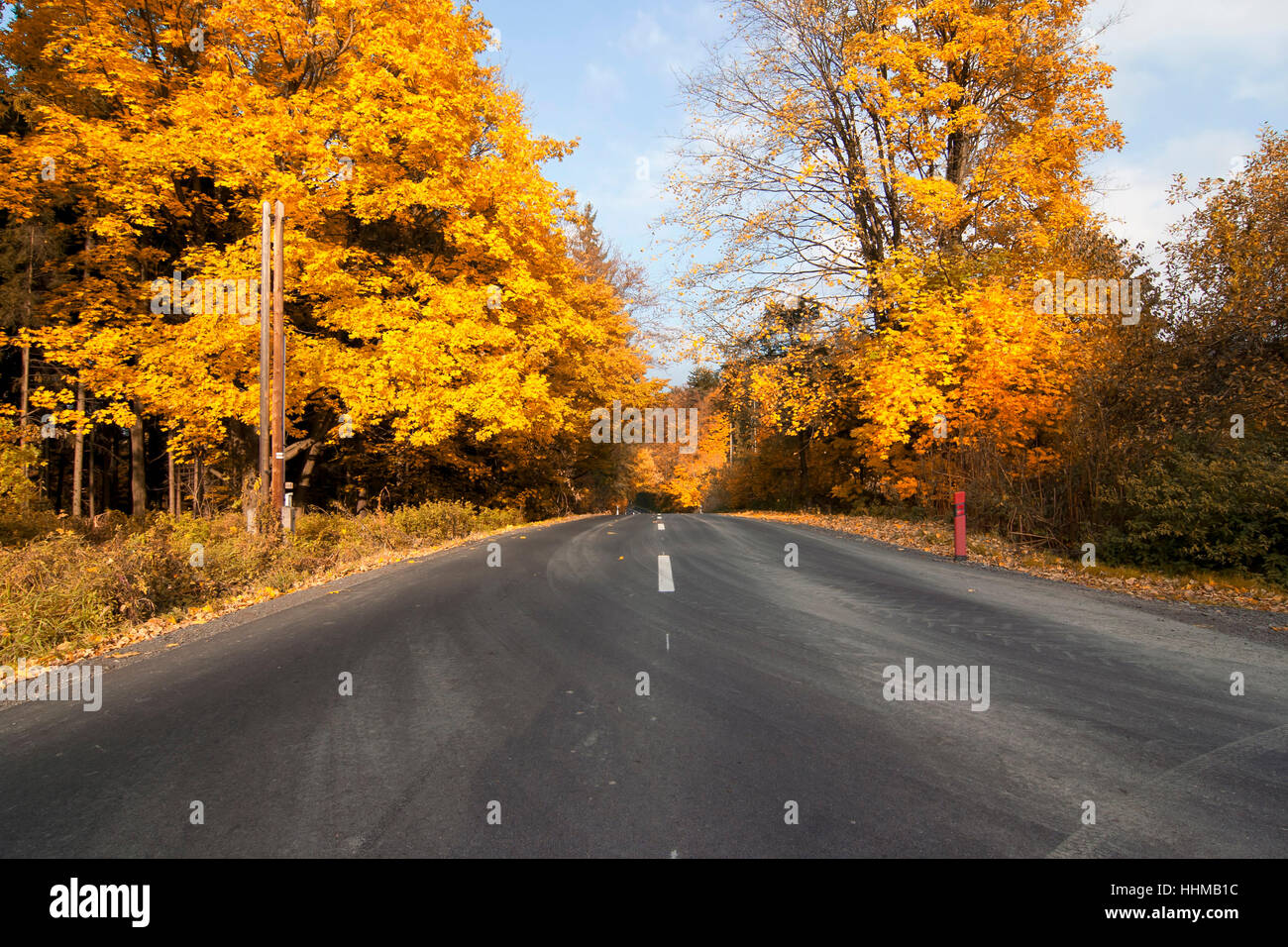 Abstand, Wald, Straße, Straße, Wald, Herbst, Herbst, Reise, Farbe, Baum, Stockfoto