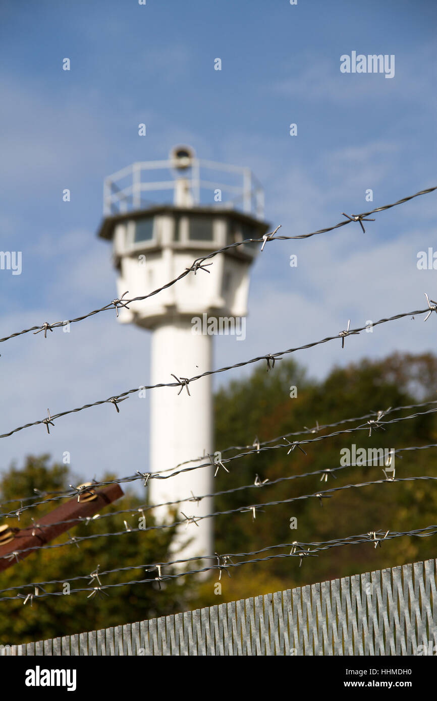 Baum, Bäume, Feld, Stream, Bayern, Grenzschutz, Grenzkontrolle, Gemeinschaft, Stockfoto