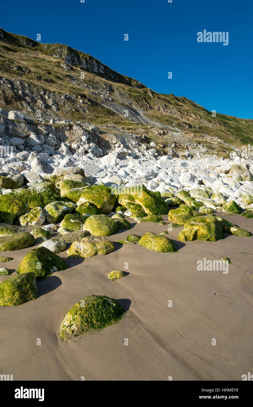 Weissen Sie Felsen im Speeton Sands, Filey Bay, North Yorkshire, England. Stockfoto