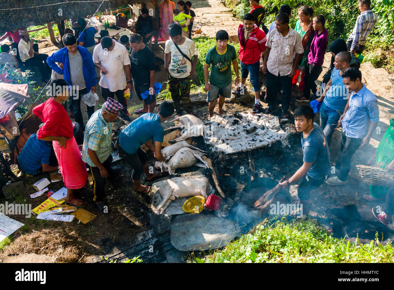 Die Leichen der toten Ziegen, während Darsain hinduistischen Festivals, in kochendem Wasser zubereitet an Gorakhnath Tempel geopfert. Stockfoto