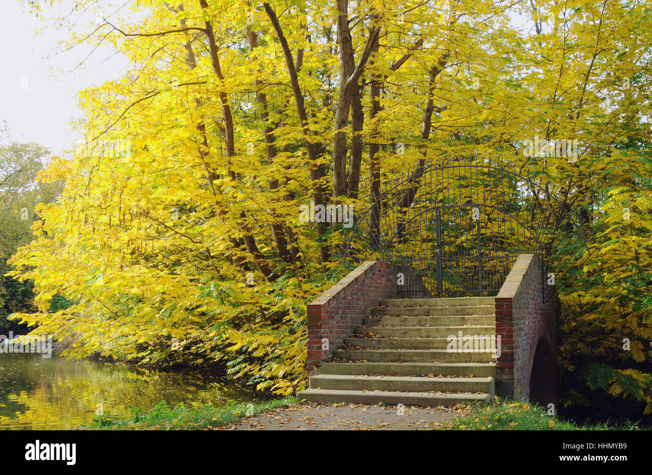 Kolner stadtwald -Fotos und -Bildmaterial in hoher Auflösung – Alamy