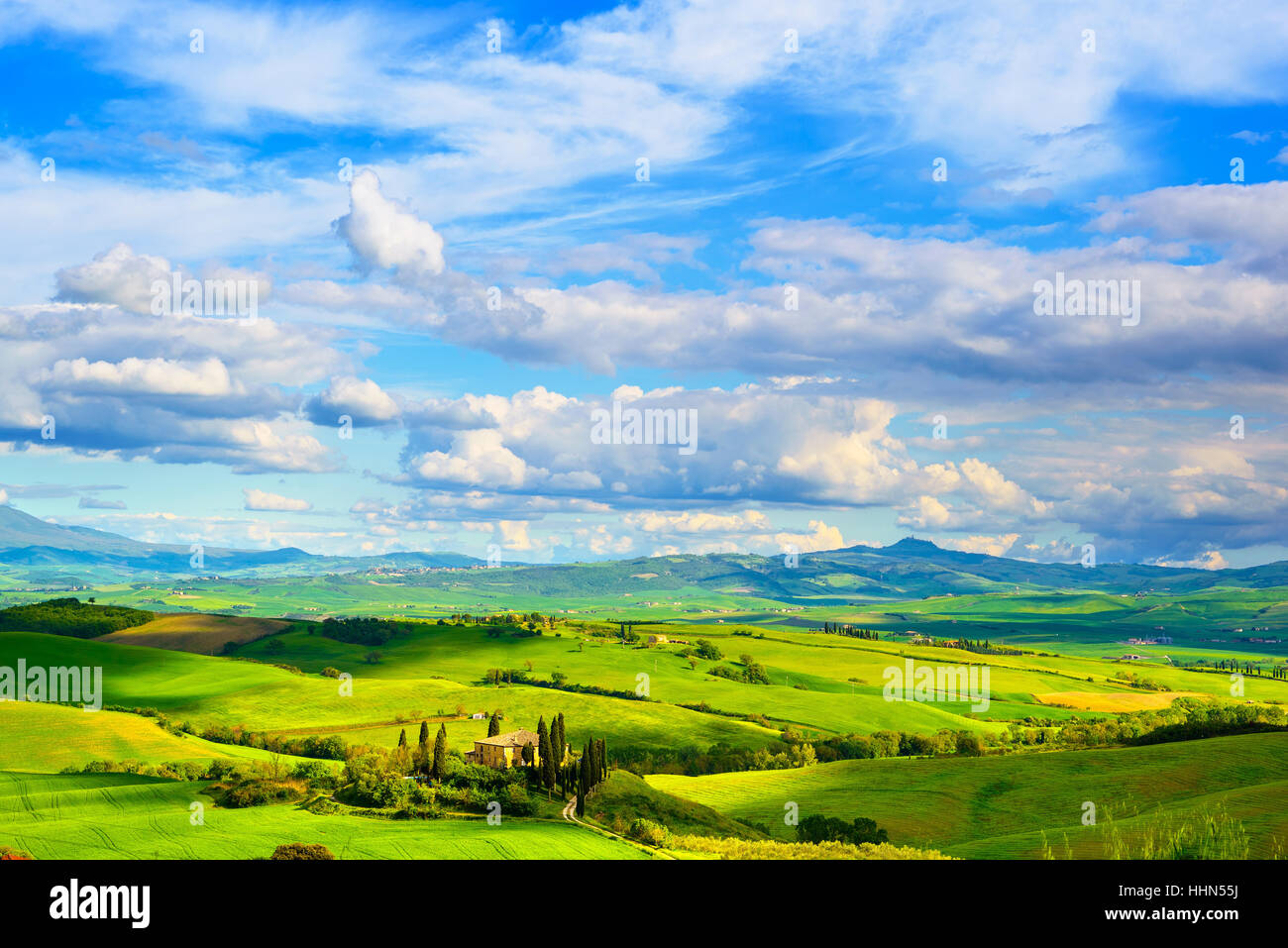 Toskana, Ackerland und Zypresse Bäume Land Landschaft, grüne Felder. San Quirico Orcia, Italien, Europa. Stockfoto