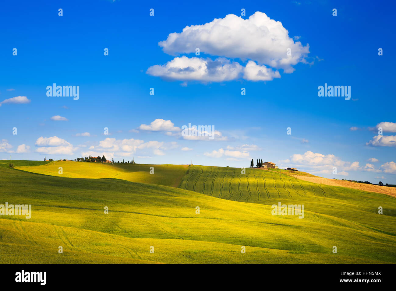Toskana, Ackerland und Zypresse Bäume Land Landschaft, grüne Felder. Pienza, Italien, Europa. Stockfoto