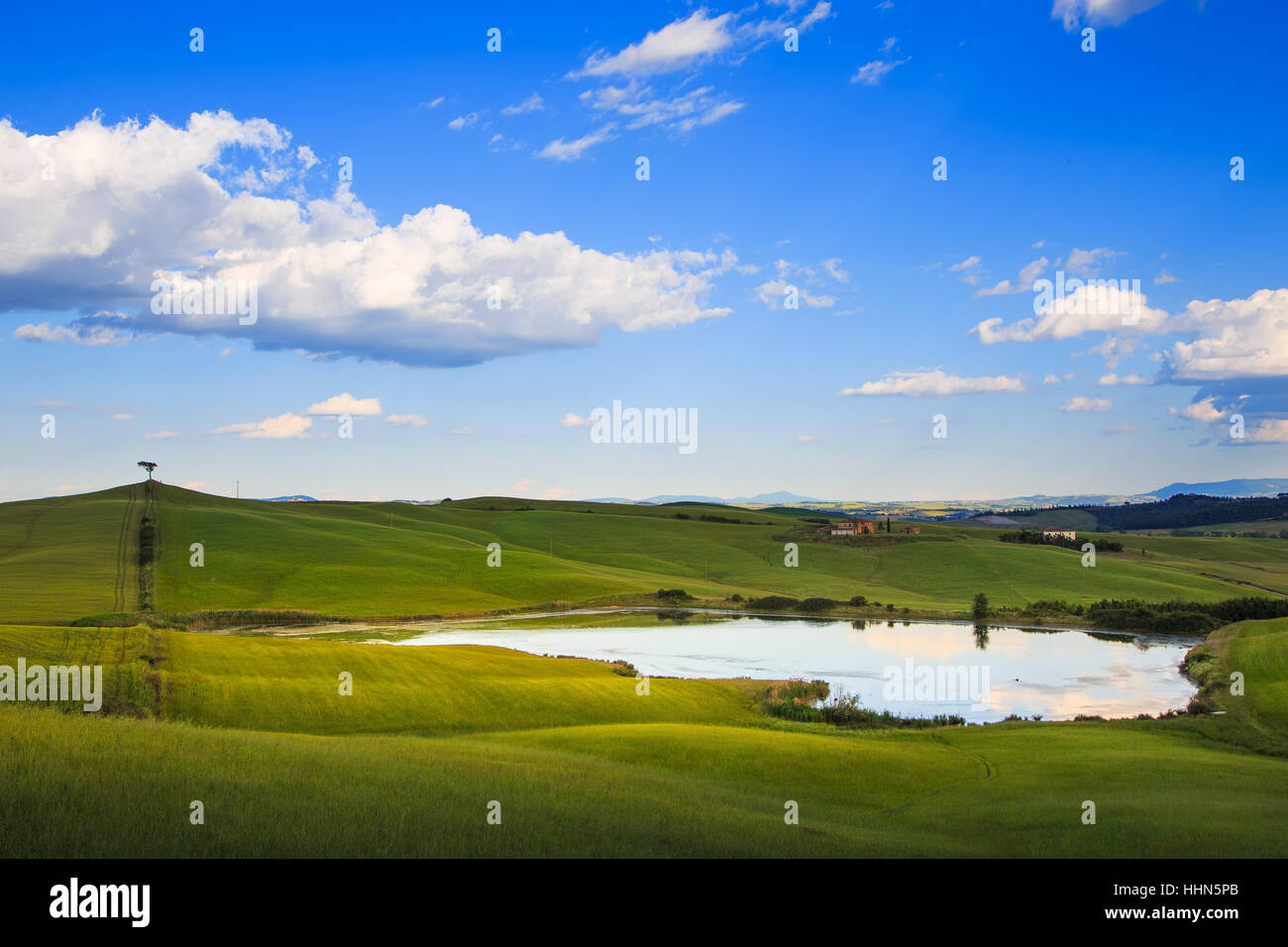 Toskana, Crete Senesi Landschaft in der Nähe von Siena, Italien, Europa. Kleiner See, Baum auf Hügel und grüne Felder, blauer Himmel mit Wolken. Stockfoto