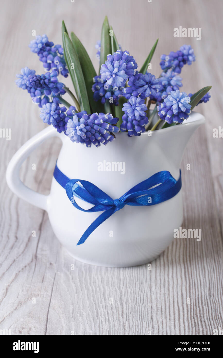 Sanfte Frühlingsstrauß blaue Muscari Blumen in einen Krug auf den Tisch Stockfoto