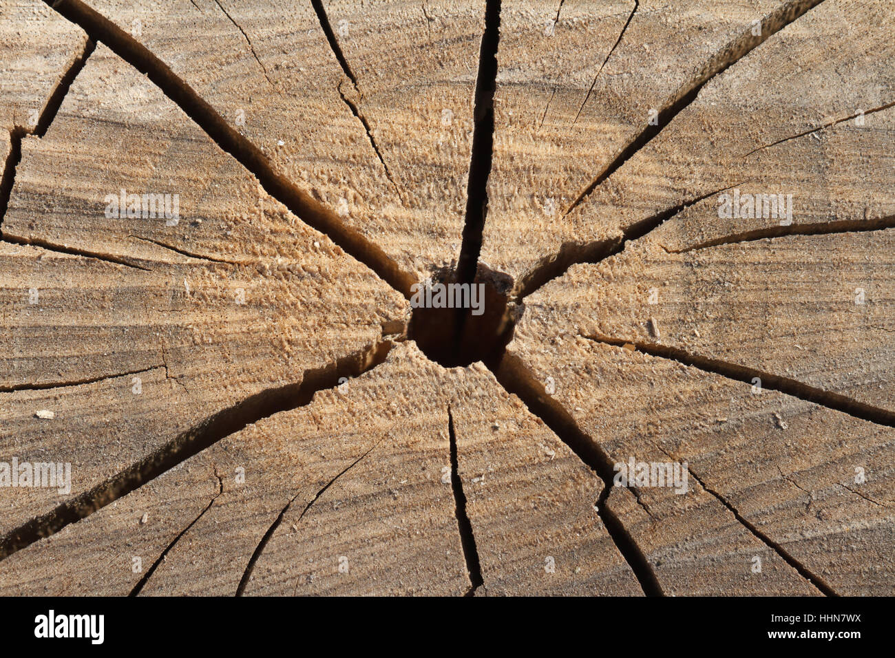 Textur des alten gebrochenen stumpfes. Hintergrund Stockfoto